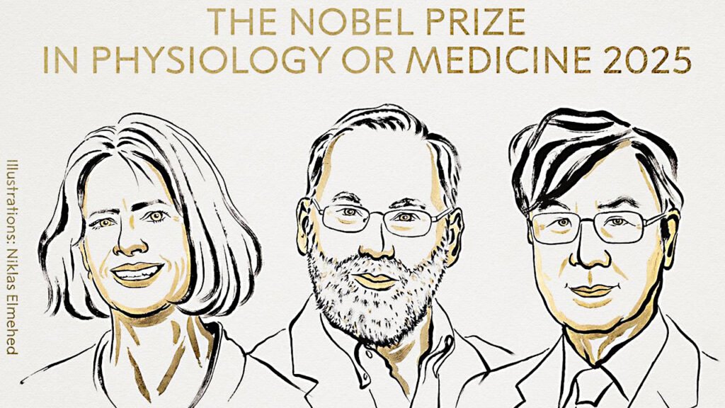 চিকিৎসায় নোবেল পেলেন তিন বিজ্ঞানী