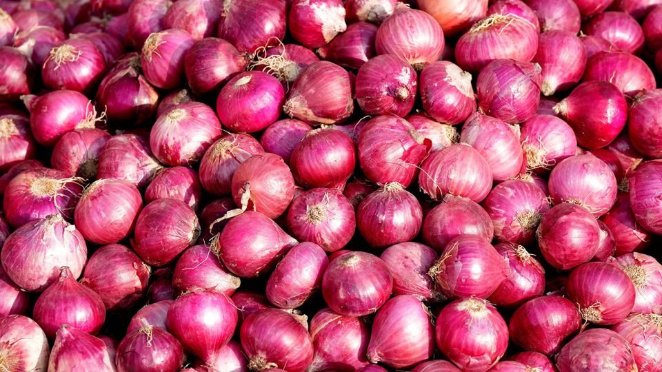 এক সপ্তাহে ৫০% বেড়েছে পেঁয়াজের দাম, স্বস্তির বাজারে নতুন অস্থিরতা