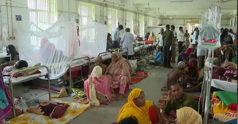 অক্টোবরেই ভয়াবহ ডেঙ্গু সংক্রমণ: আক্রান্ত ২২ হাজার, মৃত্যু ৮০ জন