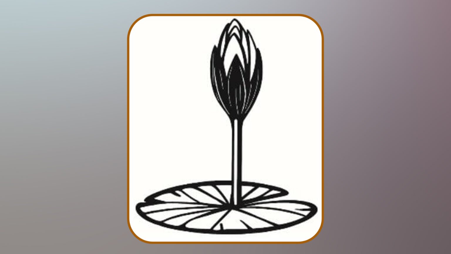 এনসিপির প্রতীক ‘শাপলা কলি’র স্কেচ যুক্ত করল নির্বাচন কমিশন